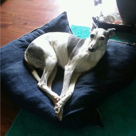 Meet your Posher, Sherrae - Picture 4 of 9